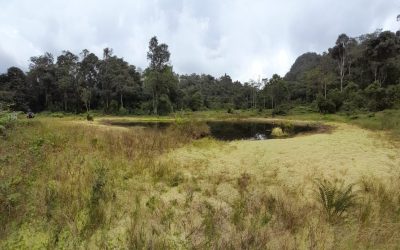 Visita Laguna Fusacatán