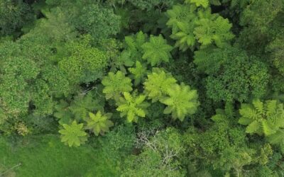 La Red Kunagua presente en la COP-16 en Cali